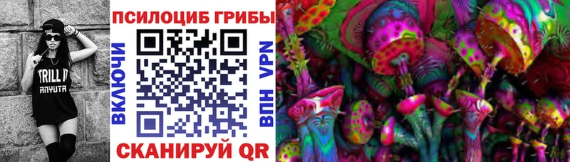 сайты даркнета телеграм закладки Щигры Псилоцибиновые грибы Psilocybine cubensis